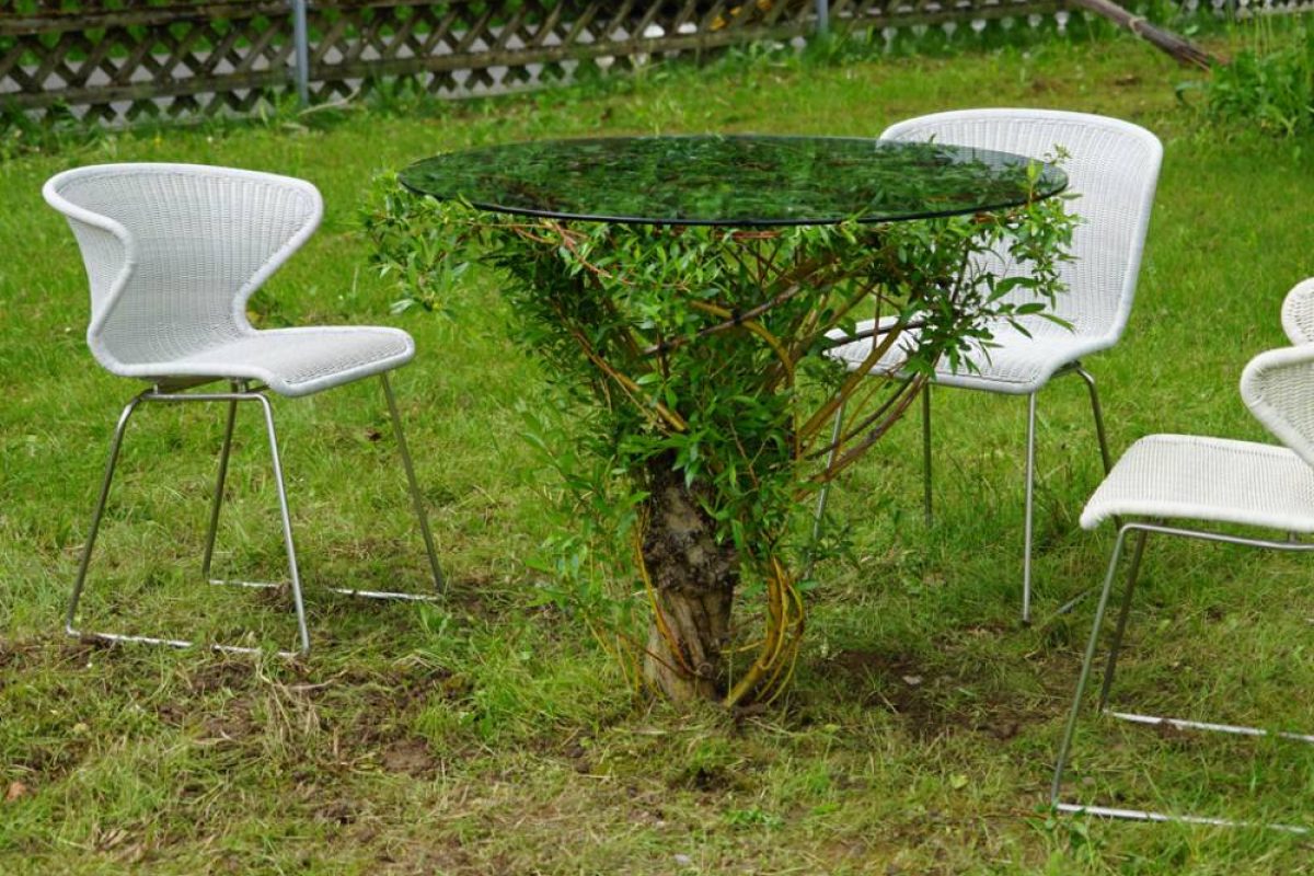 Weidentisch in Garten mit Stühlen